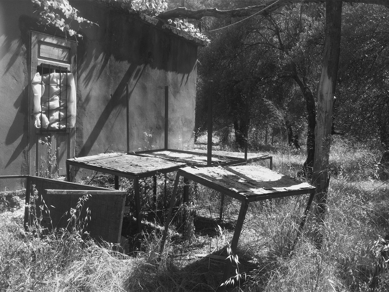 Beit Saada IMG 2